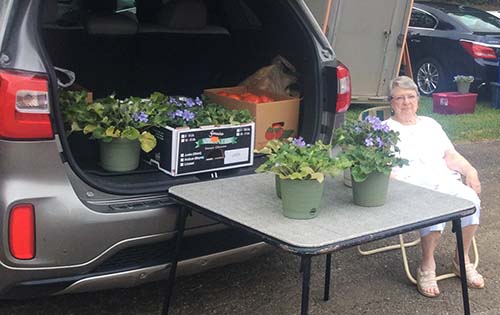 The Jasper Farmer's Market Report