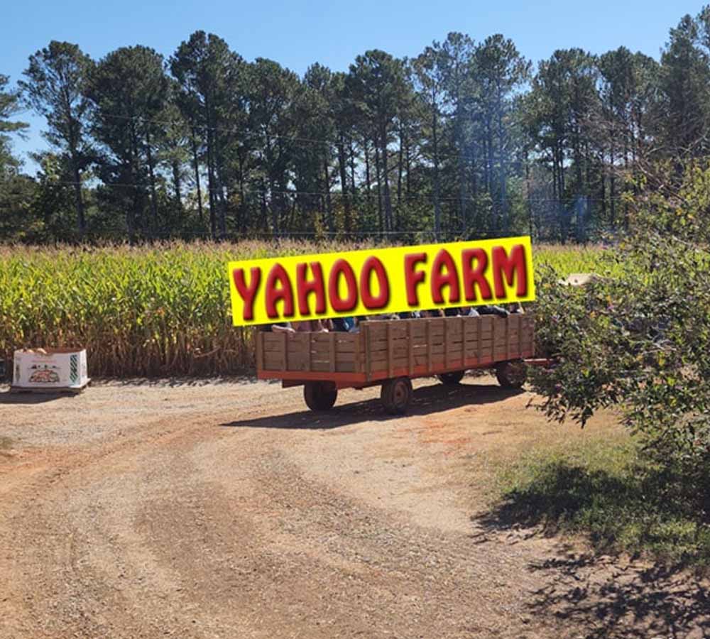 Yahoo Farm