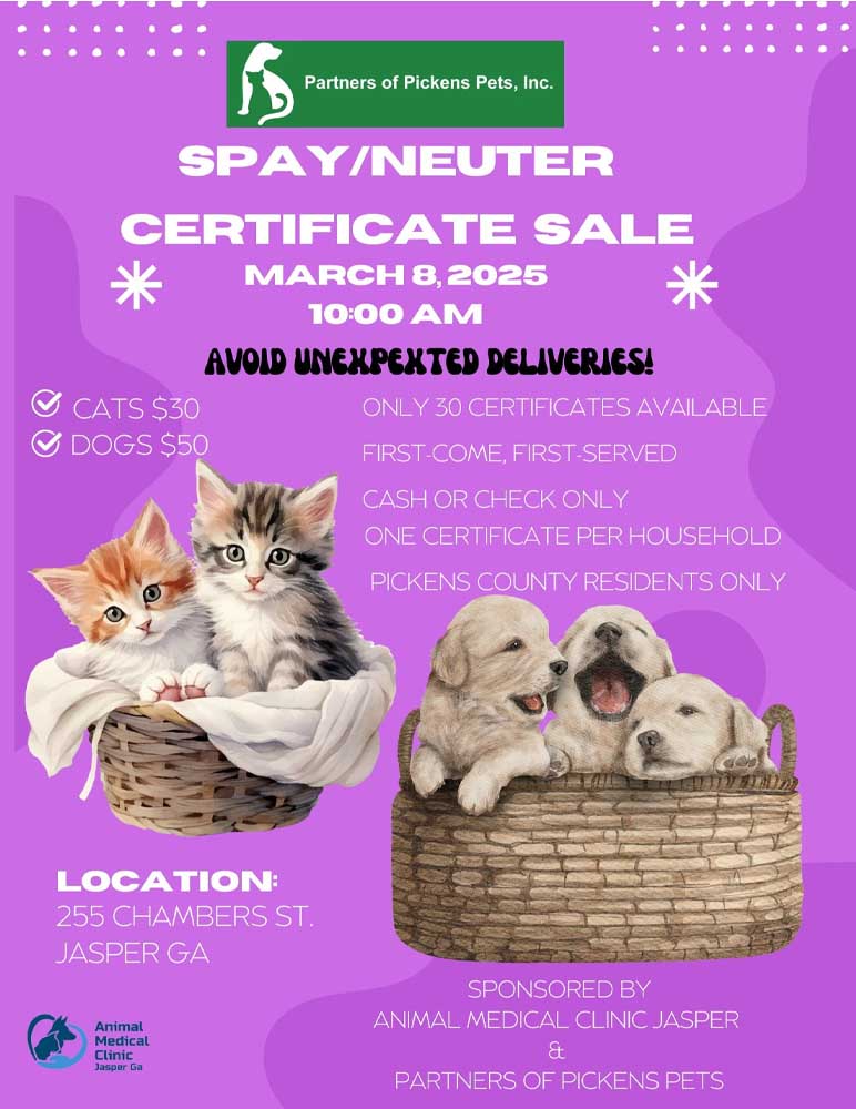 Spay & Neuter Certificate Sale