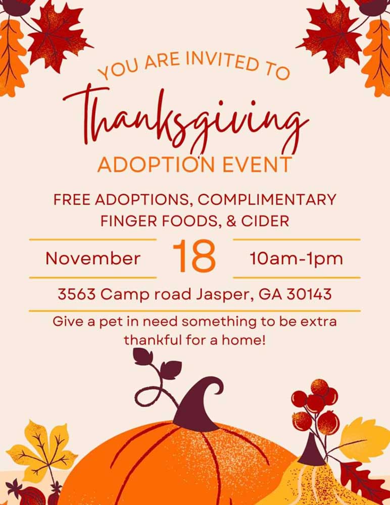 Thanksgiving Adoption Event