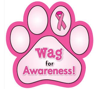 are all mammary tumors in dogs cancer