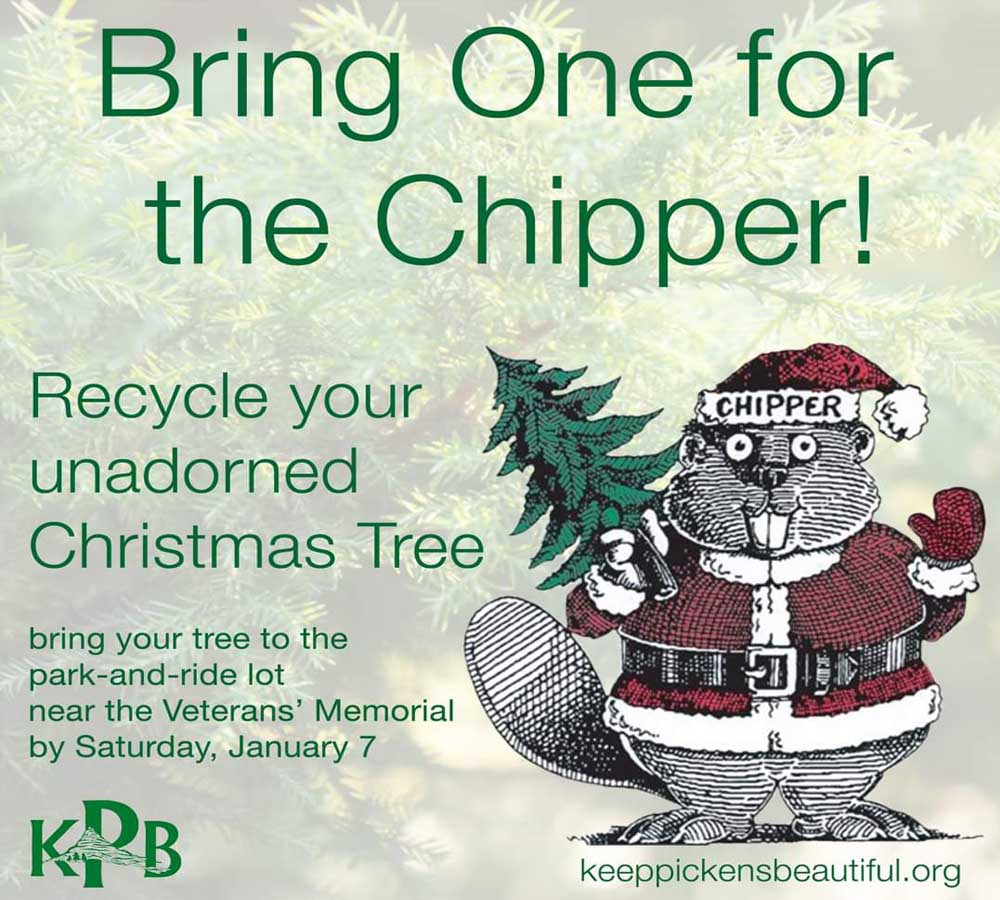 Recycle Your Christmas Tree 🎄