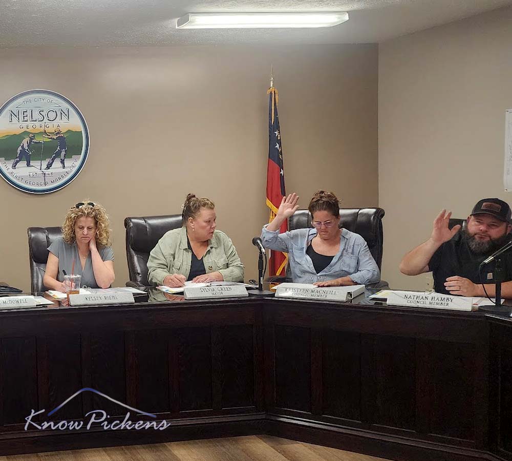 City of Nelson Public Hearing FY25 Budget