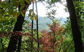 Burnt Mountain Preserve Trail